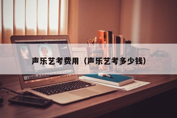 声乐艺考费用(声乐艺考多少钱)
