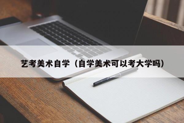 艺考美术自学(自学美术可以考大学吗)