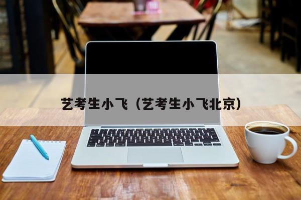 艺考生小飞(艺考生小飞北京)