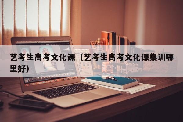 艺考生高考文化课(艺考生高考文化课集训哪里好)