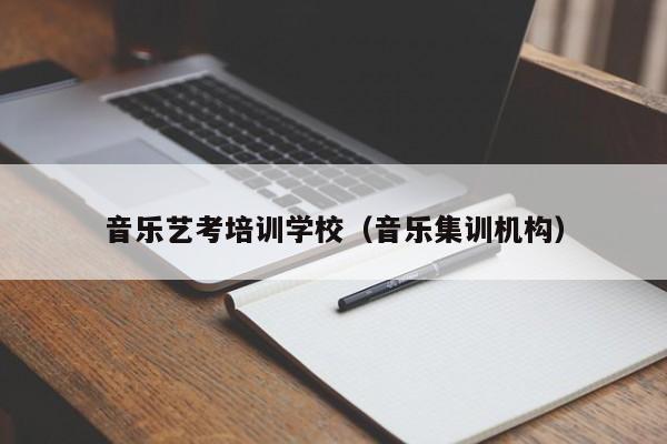 音乐艺考培训学校(音乐集训机构)