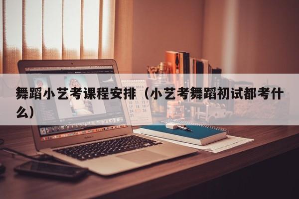 舞蹈小艺考课程安排(小艺考舞蹈初试都考什么)