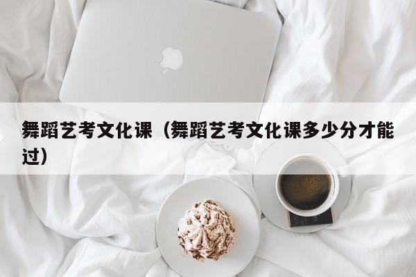 舞蹈艺考文化课(舞蹈艺考文化课多少分才能过)