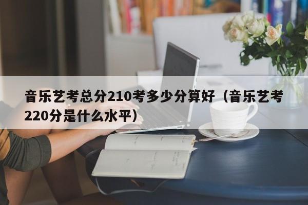 音乐艺考总分210考多少分算好(音乐艺考220分是什么水平)