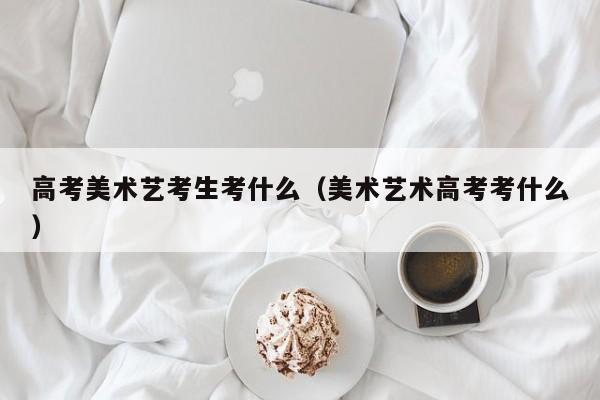 高考美术艺考生考什么(美术艺术高考考什么)