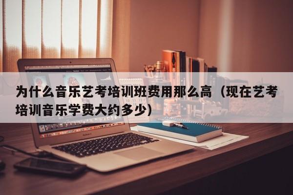 为什么音乐艺考培训班费用那么高(现在艺考培训音乐学费大约多少)