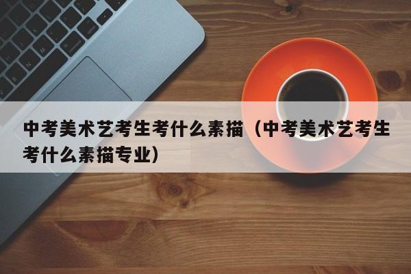 中考美术艺考生考什么素描(中考美术艺考生考什么素描专业)