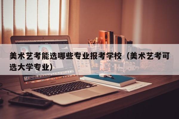 美术艺考能选哪些专业报考学校(美术艺考可选大学专业)