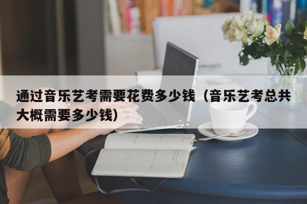 通过音乐艺考需要花费多少钱(音乐艺考总共大概需要多少钱)