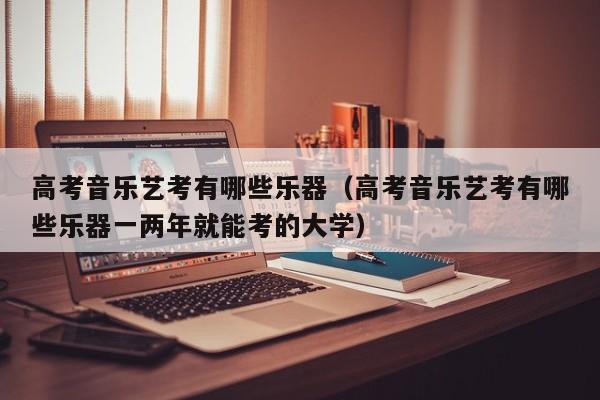 高考音乐艺考有哪些乐器(高考音乐艺考有哪些乐器一两年就能考的大学)