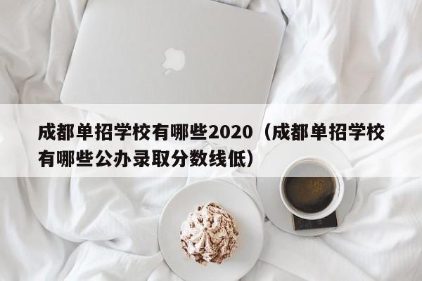 成都单招学校有哪些2020(成都单招学校有哪些公办录取分数线低)