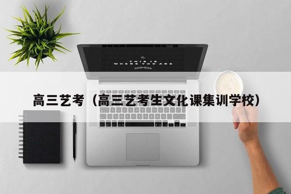 高三艺考(高三艺考生文化课集训学校)