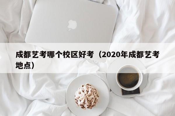 成都艺考哪个校区好考(2020年成都艺考地点)